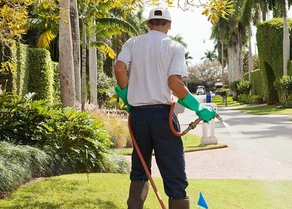 About Thomasville PA Pest Control Pros